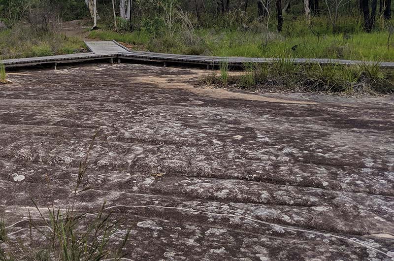 Bulgandry Aboriginal Area & Staples Lookout