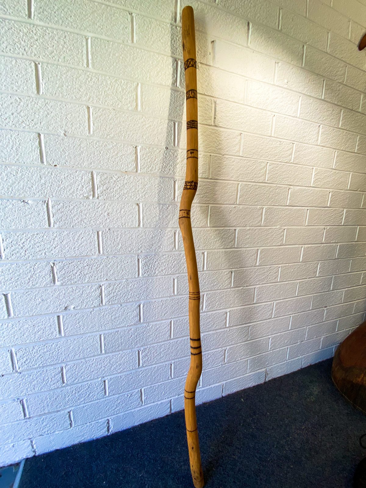 Mallee Waking Stick