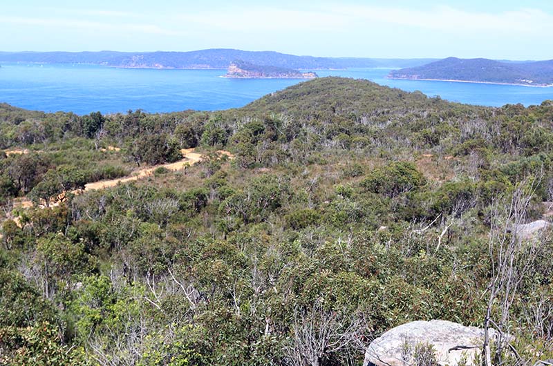 Bouddi National Park Aboriginal Tour