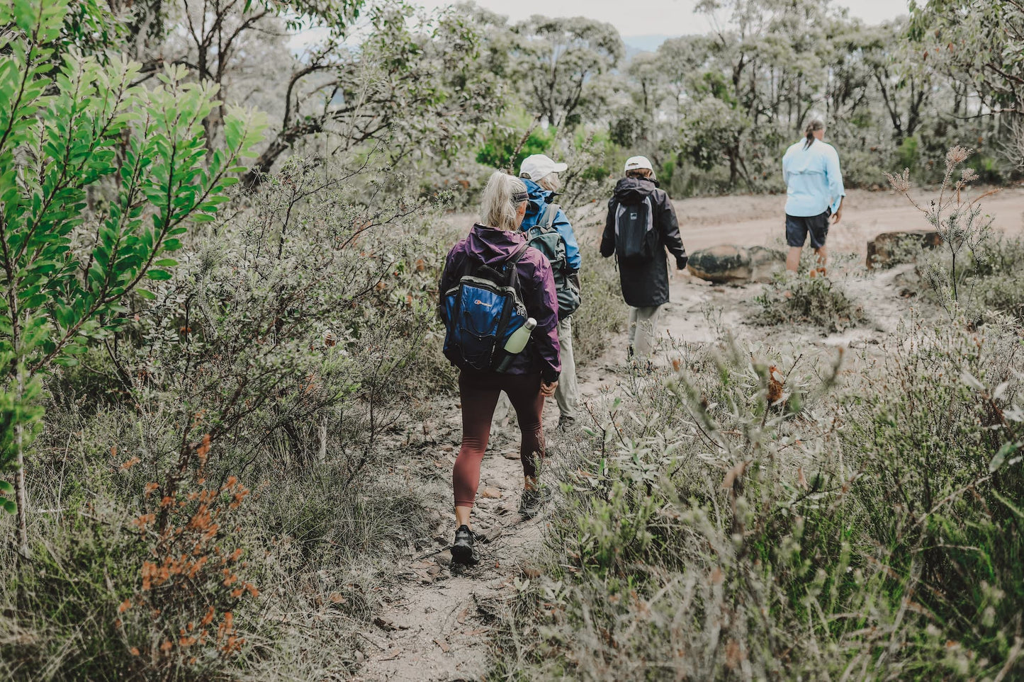 Bouddi National Park Aboriginal Tour